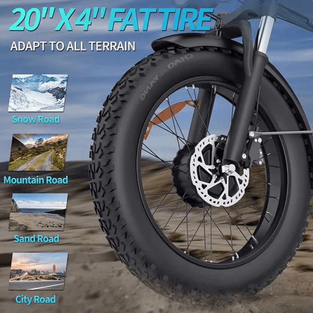 Ridstar H20Pro Folding Electric Bike 750W 31.9km/h