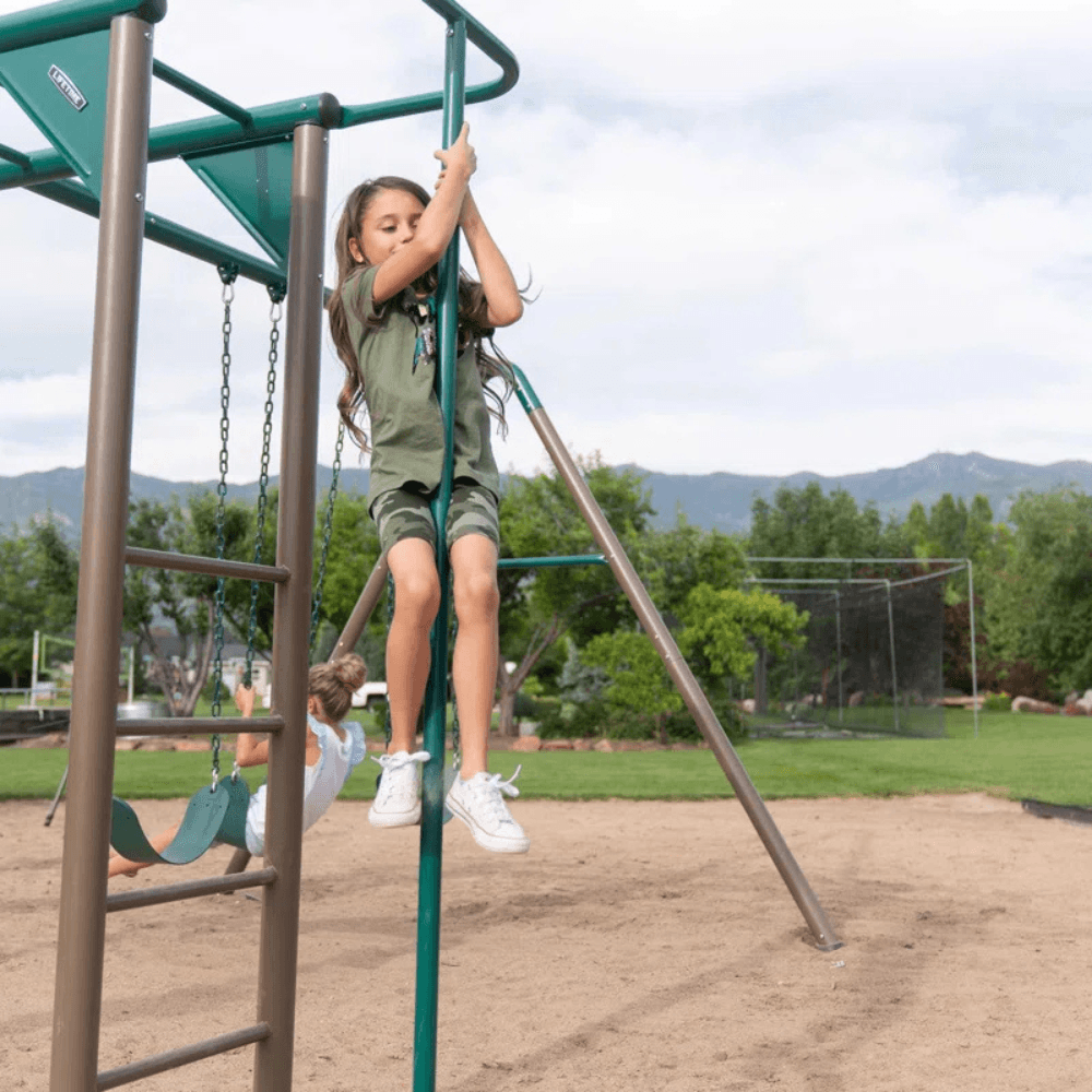 Lifetime Monkey Bar Adventure Steel Swing Set Playset